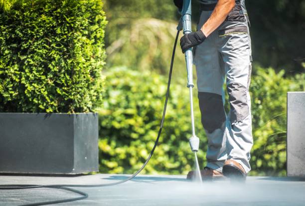 Best Paint Preparation  in Staples, CT